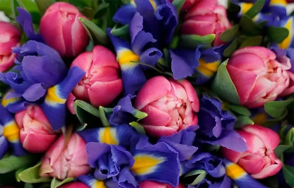 Ramo de Condolencias con Tulipanes y Lirios – Ofrenda Floral Premium