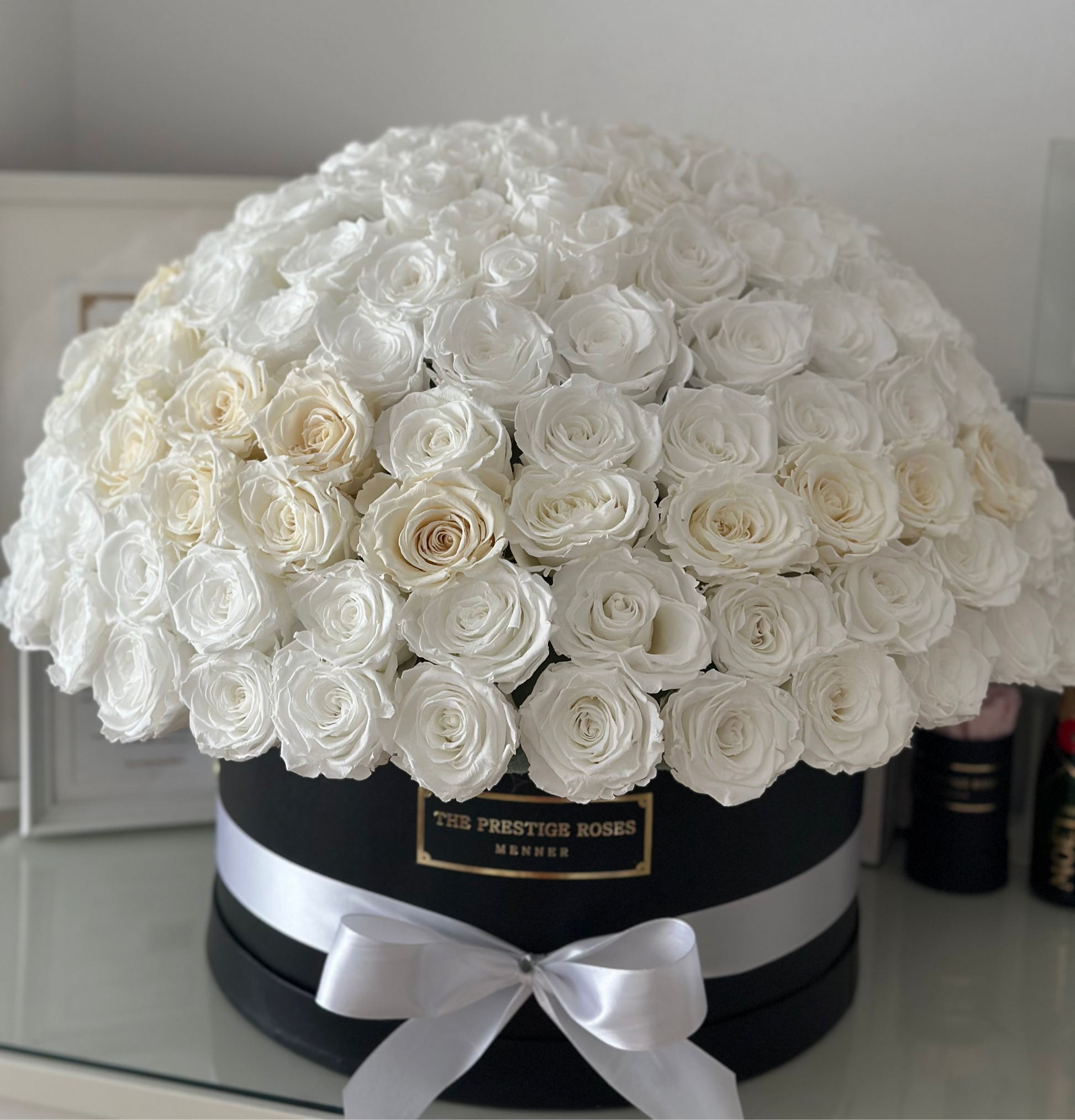Caja premium DOME de rosas eternas blancas – más de 200 unidades